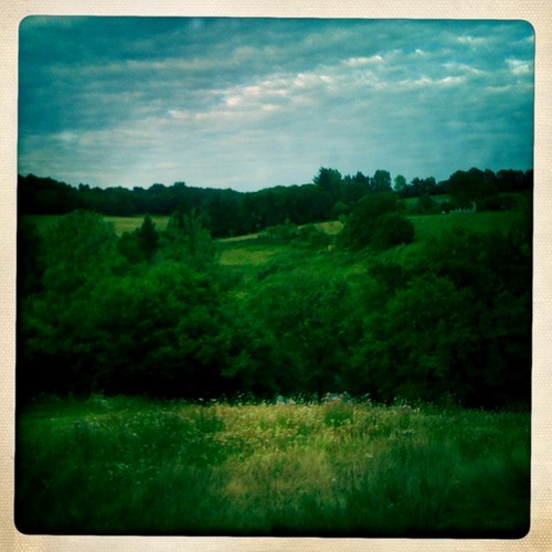 dimmelim's profile picture. 