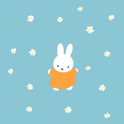 kise・ⅹ・さんのプロフィール画像