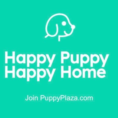 Our mission is to bring healthy puppies from responsible and reliable breeders to a new and loving home ❤️