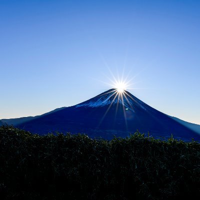 政治的立場は保守

性別　男
年齢　30代
住所　関東

様々な考えの人と意見交換できればと思います。