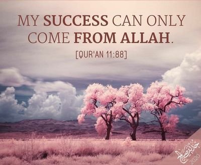 mahammadselat21's profile picture. 