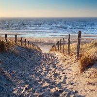 NORDSEE GOLD (@goldnordsee) Twitter profile photo
