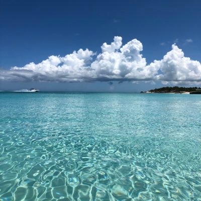 EricTacik's profile picture. 