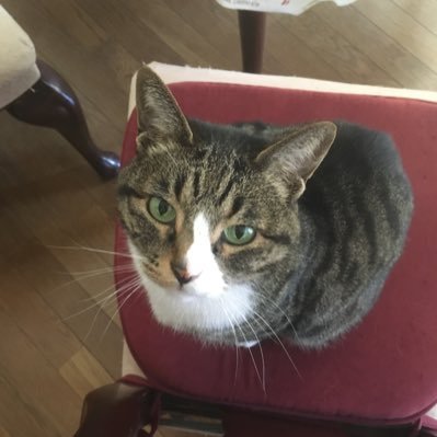 yamagai_0919's profile picture. @bamboooo_inc メンバー