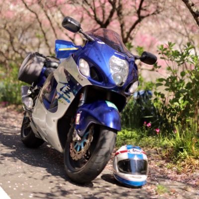 ハヤエボ(DM専用アカ)さんのプロフィール画像
