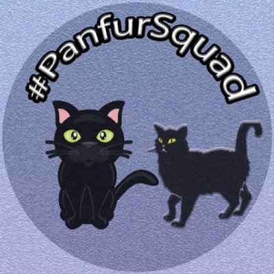 A page for all the stunning #blackcatsoftwitter 🐾 tweet us at #panfursquad 🐈‍⬛🐾 to show off your photos 🐾we love #panfurs 🖤🐾