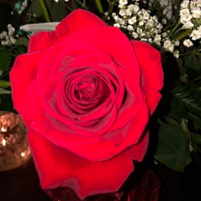 L_Wyatt's profile picture. 