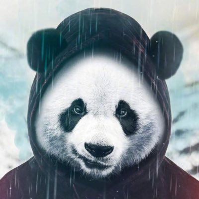 tTF5OxJoILrpiUo's profile picture. 陈品硕