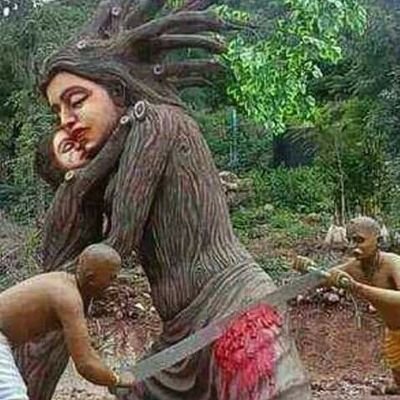 shreedh47246252's profile picture. 