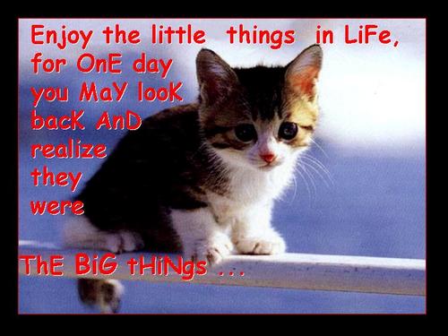 Hi.....
  MY LFE truely rockzzz
 my FRENS r  my WORLD.....
                                ur luvng fren,
                                   DEEPU