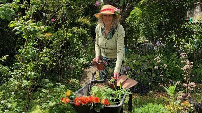 eibhlineily's profile picture. 