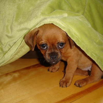 tpie55418's profile picture. 