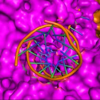 BioMol CQE (@biomolcqe) 's Twitter Profile