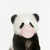 Belma (@belmaaltun3) Twitter profile photo