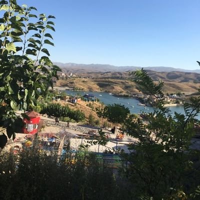 TP6OKBZCwwVoQnK's profile picture. rate