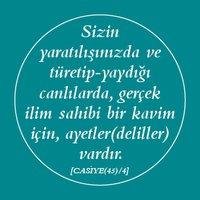 SonsuzYüce'ninYaratımı(@Rabbin_Yaratimi) 's Twitter Profile Photo
