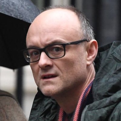 DominicCummin19's profile picture. 