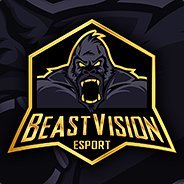 BeastVision (@beastvisioncsgo) 's Twitter Profile