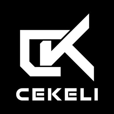 30yo, Streamer, one of Chief Organizer for Hungarian RL Tournaments. Retired am sim racer.