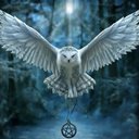 Brent Mcclung - @brent_mcclung - Twitter