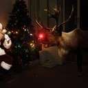 Leonie Phillips - @LeoniePhil - Twitter