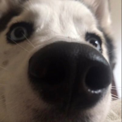 PaolaFl52594814's profile picture. 