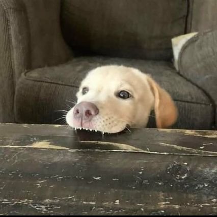 DaniAP995's profile picture. 