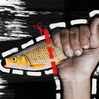 Superkalifragilistin🕊 (@superkalifragi4) 's Twitter Profile Photo