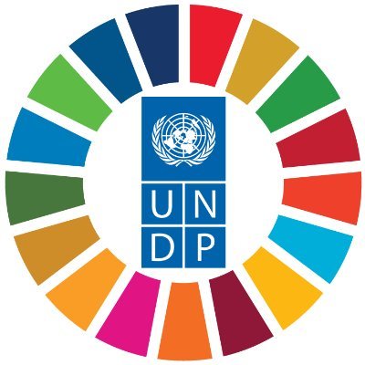 UNDPinPNG Profile Picture