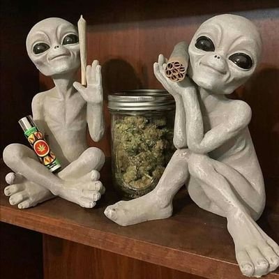 Yassin86765604's profile picture. Go Green