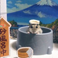 けぇこ🍆 (@36_1970) 's Twitter Profile Photo けぇこ🍆 (@36_1970) 's Twitter Profile Photo