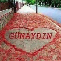 Ali oral Ap (@alideneyimsiz) Twitter profile photo