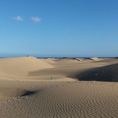 seawavesandsun's profile picture. 