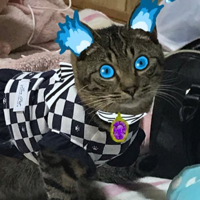 takanearenn's profile picture. #メンヘラほいほい #痩せたい #推しが今日も元気そうでなにより    20以上 ツイステ民