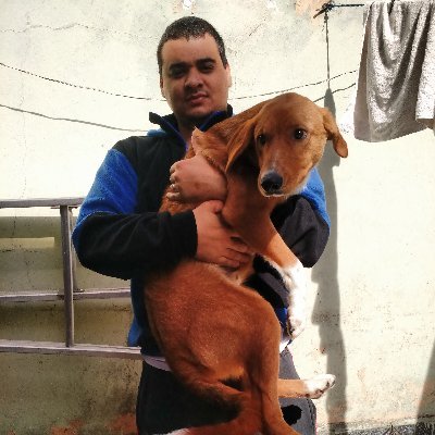 PauloPelegrini's profile picture. 