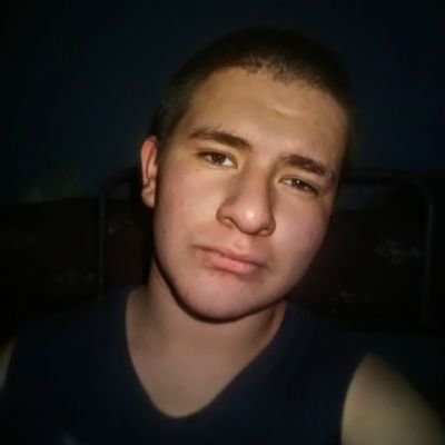 LuisFelipe12324's profile picture.