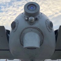 ようなしブタゴリラ (@vz74rpgbcbc3hkt) 's Twitter Profile
