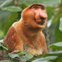 Now is the time to clean up the planet💚#GTTO (@docsallyjr) 's Twitter Profile