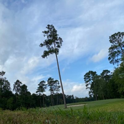 ALEXK20804945's profile picture. 