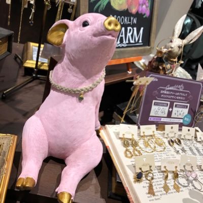 usao_cpa's profile picture. 独学で税理士になる人 | 社会人受験生 | 2022年10月からCPA→税理士に変更