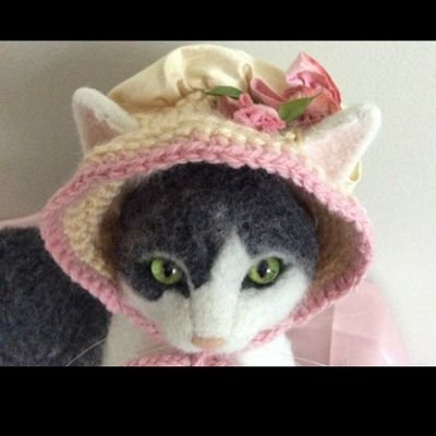 belbennet's profile picture. 