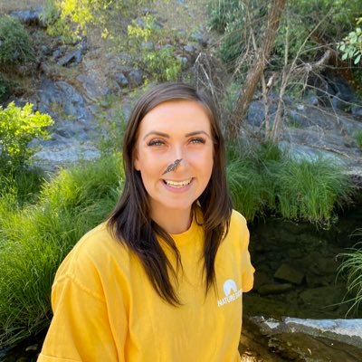 batmandarises's profile picture. 