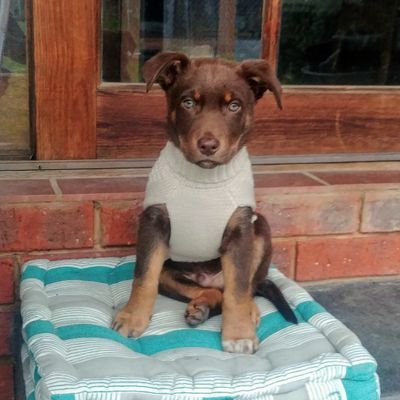 bahuu92's profile picture. 