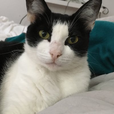 mamadeberta's profile picture. 