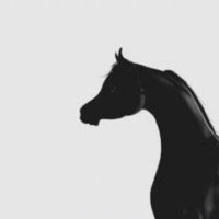 Noora almarri (@nooraaaaqtrrr) Twitter profile photo