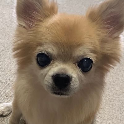 m1214_24's profile picture. 