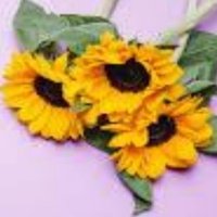 Beth Little (@mslibrarytimes2) 's Twitter Profile Photo Beth Little (@mslibrarytimes2) 's Twitter Profile Photo