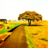 ya_ki's profile image