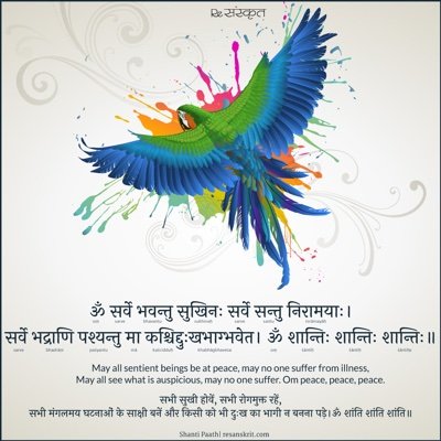 stutitsehgal's profile picture. 