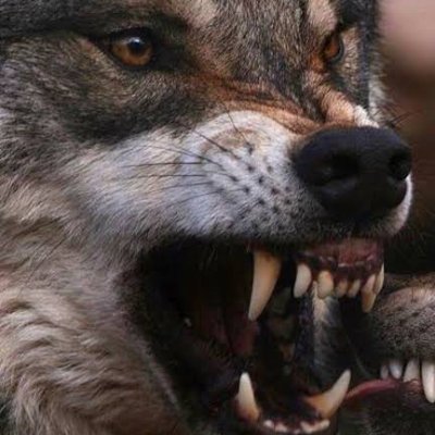 RLedead's profile picture. I AM LOST....BUT BETTER THAN YOU